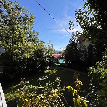 Sunny Side * سراييفو